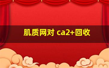 肌质网对 ca2+回收